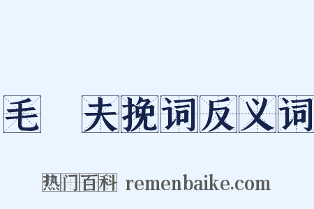 毛崈夫挽词反义词是什么意思的图片